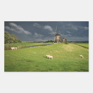 Schapen met windmolens onder donkere wolken rechthoekige sticker