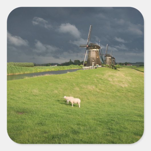 Schapen met windmolens onder donkere wolken vierkante sticker (Voorkant)