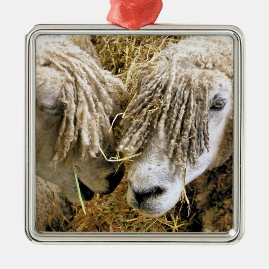 SCHAPEN METALEN ORNAMENT (Voorkant)