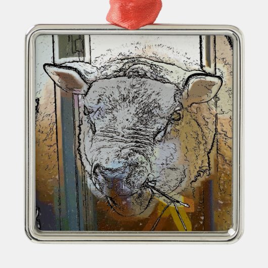 SCHAPEN METALEN ORNAMENT (Voorkant)