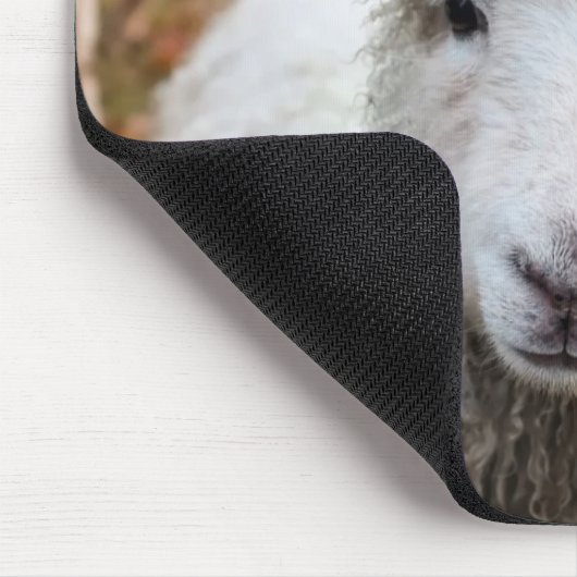 Schapen Muismat (Hoek)