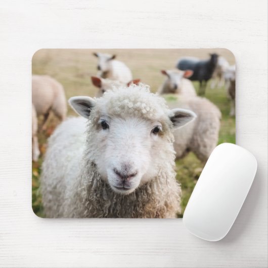 Schapen Muismat (Met muis)