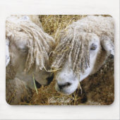 SCHAPEN MUISMAT (Voorkant)