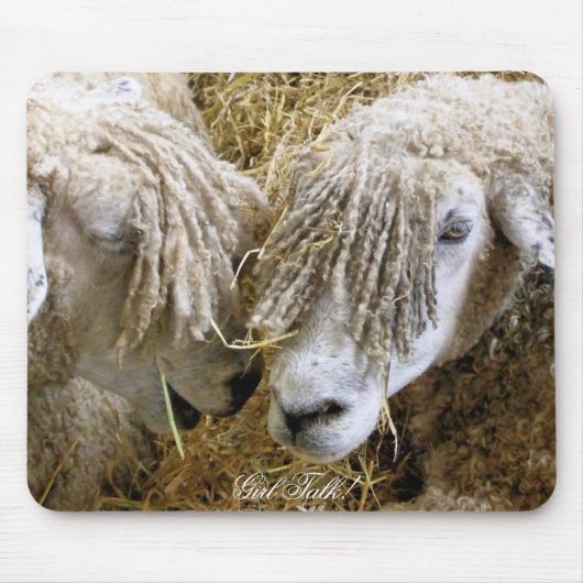 SCHAPEN MUISMAT (Voorkant)