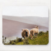 SCHAPEN MUISMAT (Voorkant)