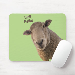 Schapen Muismat