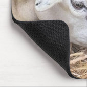 SCHAPEN MUISMAT (Hoek)