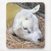 SCHAPEN MUISMAT (Voorkant)