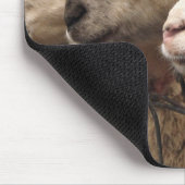 schapen muismat (Hoek)