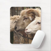 schapen muismat (Met muis)