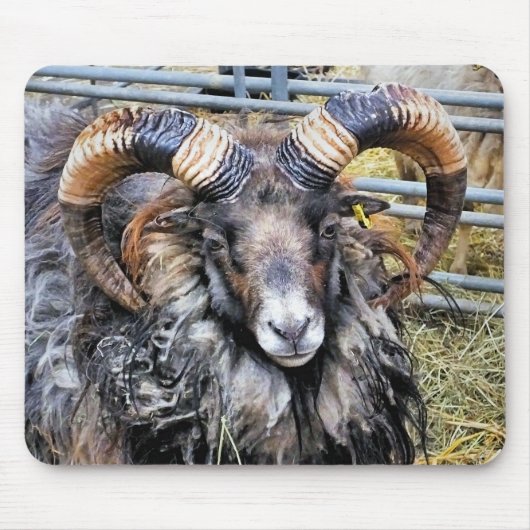 SCHAPEN MUISMAT (Voorkant)