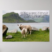 Schapen naast stilstaande wateren Poster (Voorkant)
