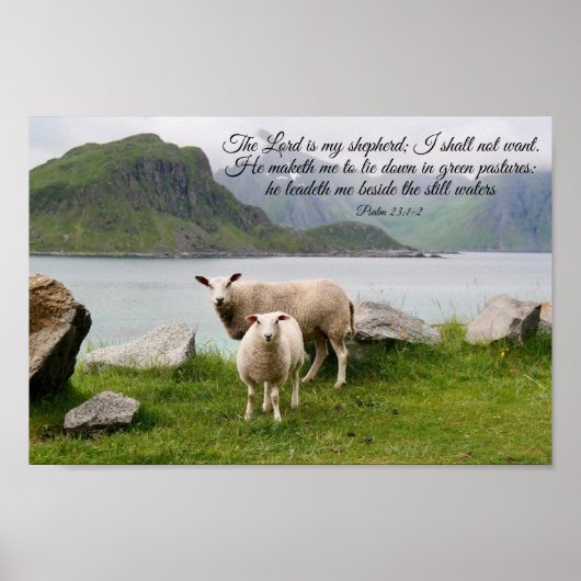 Schapen naast stilstaande wateren Poster (Voorkant)