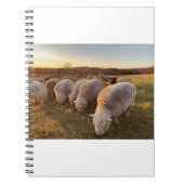 Schapen Notitieboek (Voorkant)