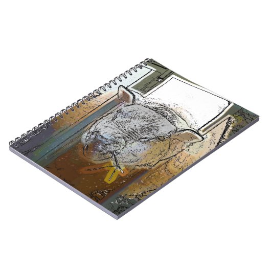 SCHAPEN NOTITIEBOEK (Linkerzijde)