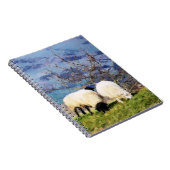 SCHAPEN NOTITIEBOEK (Rechterzijde)