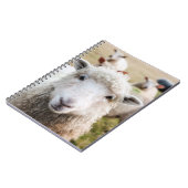 Schapen Notitieboek (Linkerzijde)