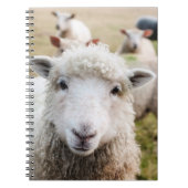 Schapen Notitieboek (Voorkant)