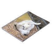 SCHAPEN NOTITIEBOEK (Linkerzijde)