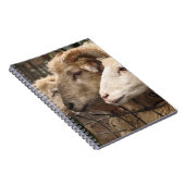 schapen notitieboek (Rechterzijde)