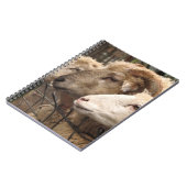 schapen notitieboek (Linkerzijde)