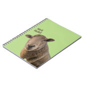 Schapen Notitieboek (Linkerzijde)