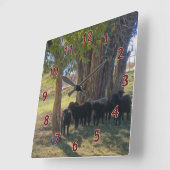 Schapen onder de bomen vierkante klok (Hoek)