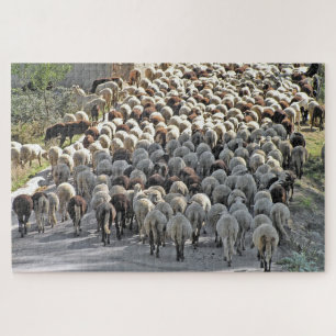 Schapen onder een dierlijk nette puzzel