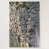 Schapen onder een dierlijk nette puzzel (Verticaal)