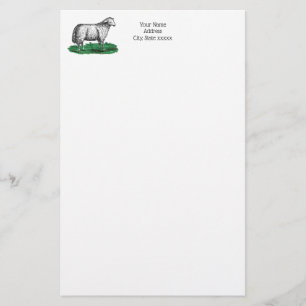schapen Ooien landbouwhuisdieren Tekening C Briefpapier