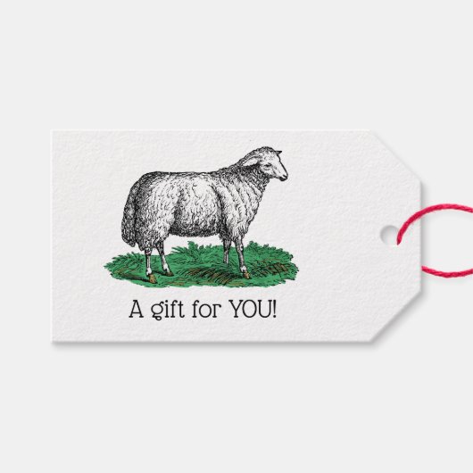 schapen Ooien landbouwhuisdieren Tekening C Cadeaulabel (Voorkant (Horizontaal))