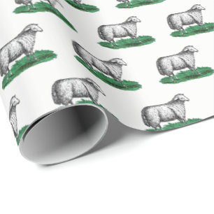 schapen Ooien landbouwhuisdieren Tekening C Cadeaupapier