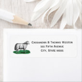  schapen Ooien landbouwhuisdieren Tekening C Etiket (Insitu)