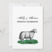  schapen Ooien landbouwhuisdieren Tekening C Kaart (Voorkant)