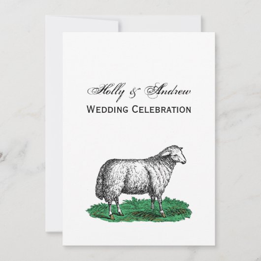  schapen Ooien landbouwhuisdieren Tekening C Kaart (Voorkant)