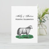  schapen Ooien landbouwhuisdieren Tekening C Kaart (Staand voorkant)