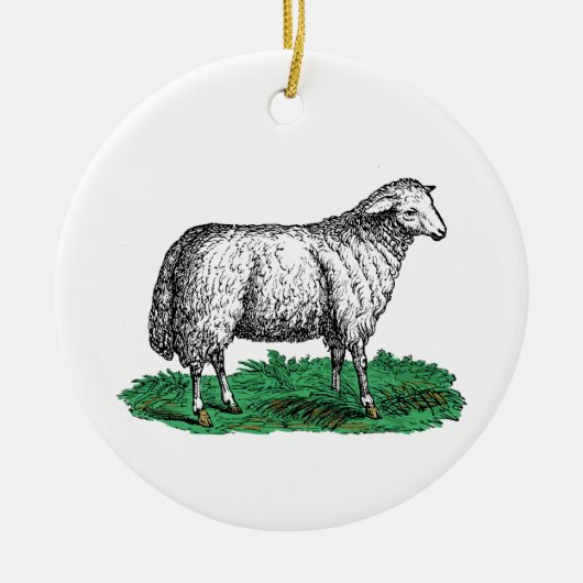  schapen Ooien landbouwhuisdieren Tekening C Keramisch Ornament (Voorkant)
