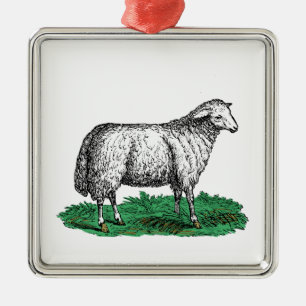 schapen Ooien landbouwhuisdieren Tekening C Metalen Ornament