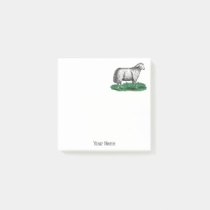 schapen Ooien landbouwhuisdieren Tekening C Post-it® Notes