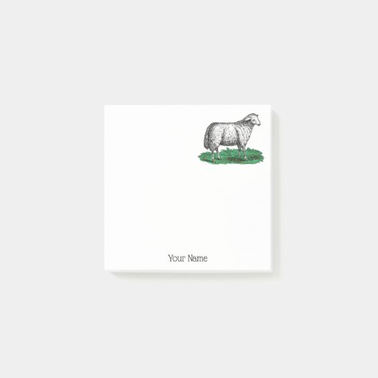  schapen Ooien landbouwhuisdieren Tekening C Post-it® Notes (Voorkant)