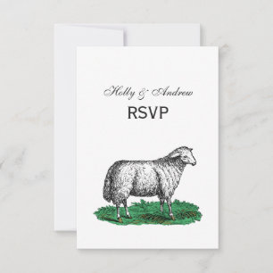 schapen Ooien landbouwhuisdieren Tekening C RSVP Kaartje