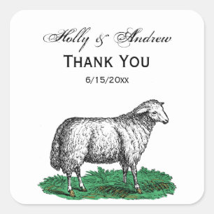  schapen Ooien landbouwhuisdieren Tekening C Vierkante Sticker