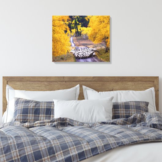 Schapen op Country Road Canvas Afdruk (Insitu (Slaapkamer))