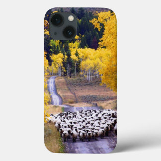 Schapen op Country Road Case-Mate iPhone Case