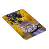 Schapen op Country Road Magneet (Rechterzijde)