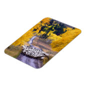 Schapen op Country Road Magneet (Linkerzijde)