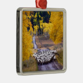 Schapen op Country Road Metalen Ornament (Rechts)