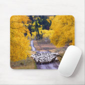 Schapen op Country Road Muismat (Met muis)