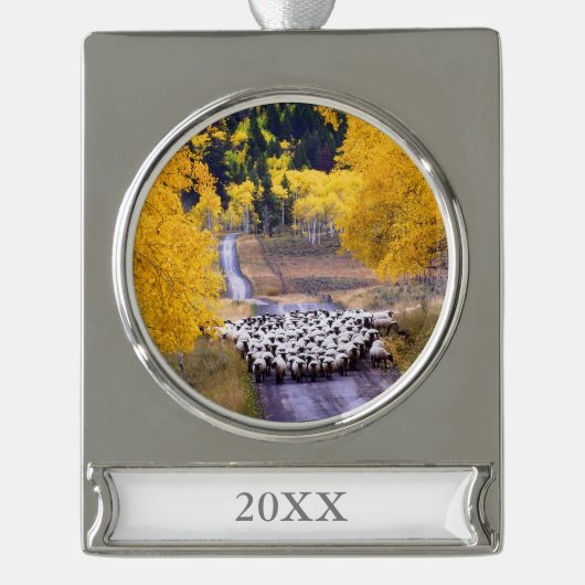 Schapen op Country Road Verzilverd Banner Ornament (Voorkant)