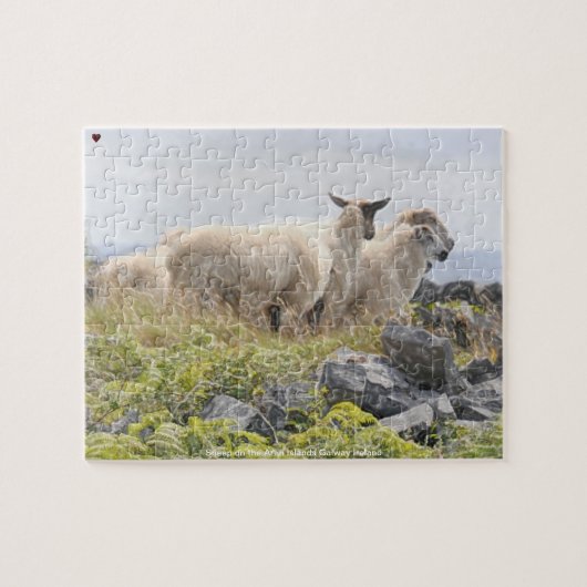 Schapen op de Aran Islands Galway Ireland Legpuzzel (Horizontaal)